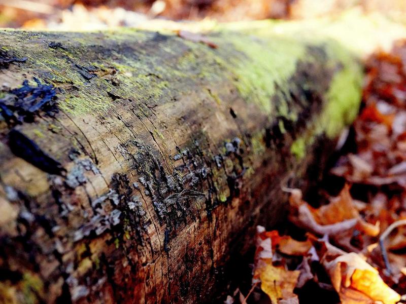 sudoku box line reduction