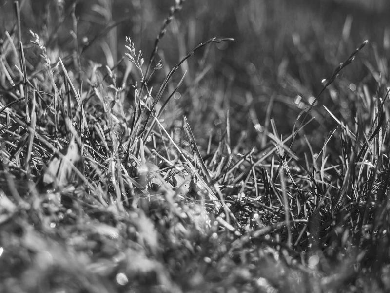 sudoku box line reduction screenshot 4