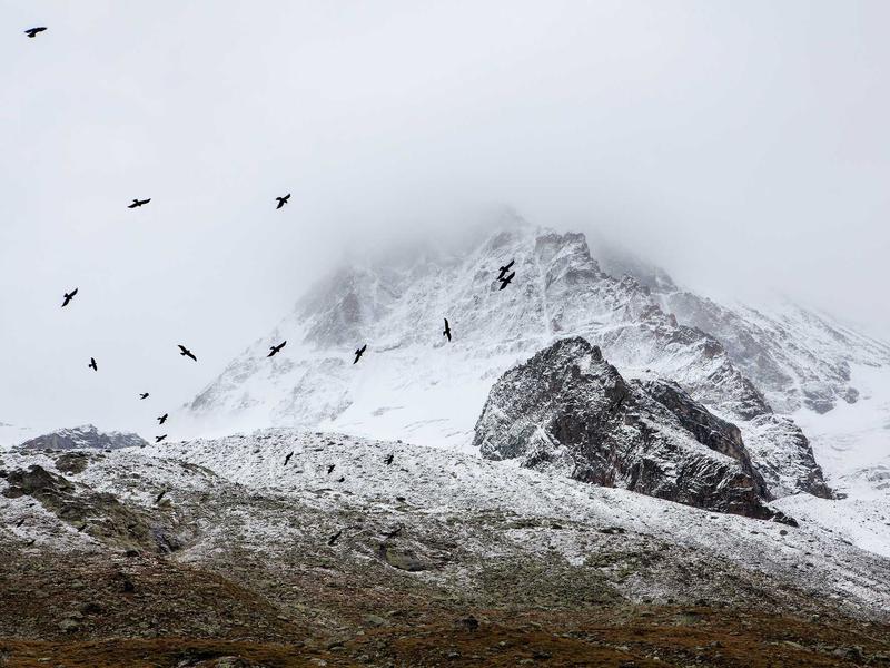 android screenshot 4